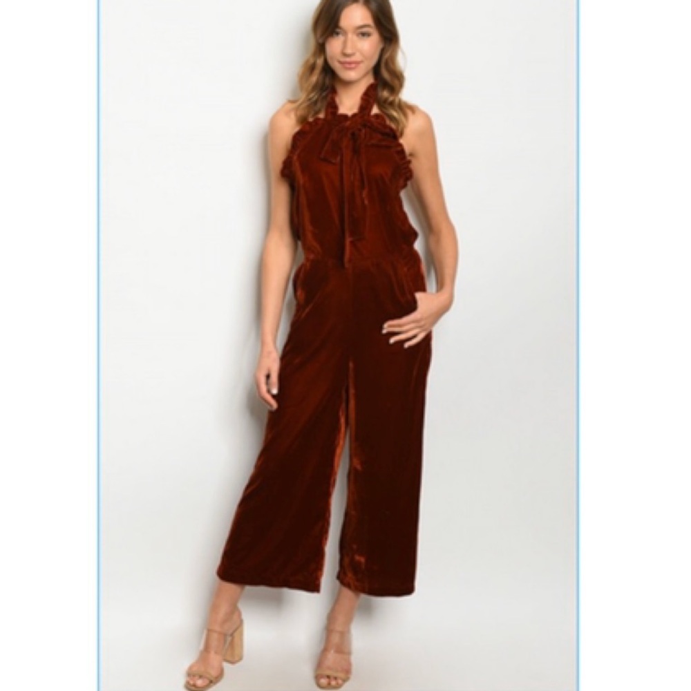 Nwt Velvet Jumpsuit In A Beautiful Merlot Color